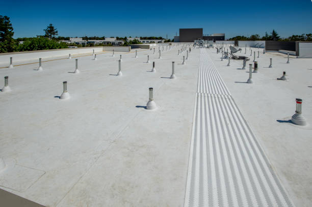 Gutter Replacement in Edgewood, FL
